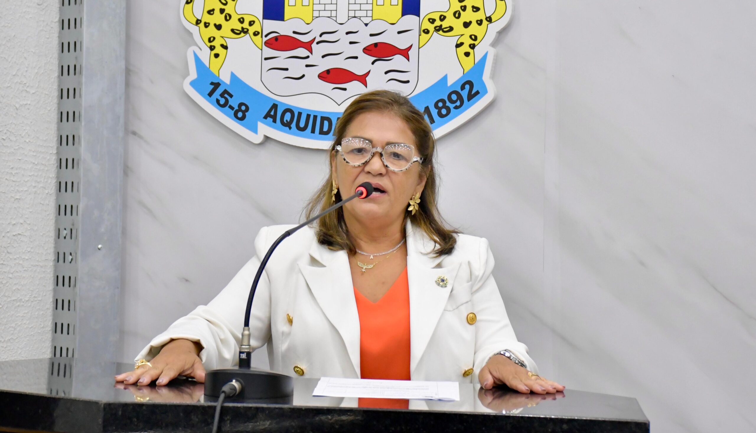 Vereadora Ana Saravy solicita correção do nome de homenageado em placa de rua
