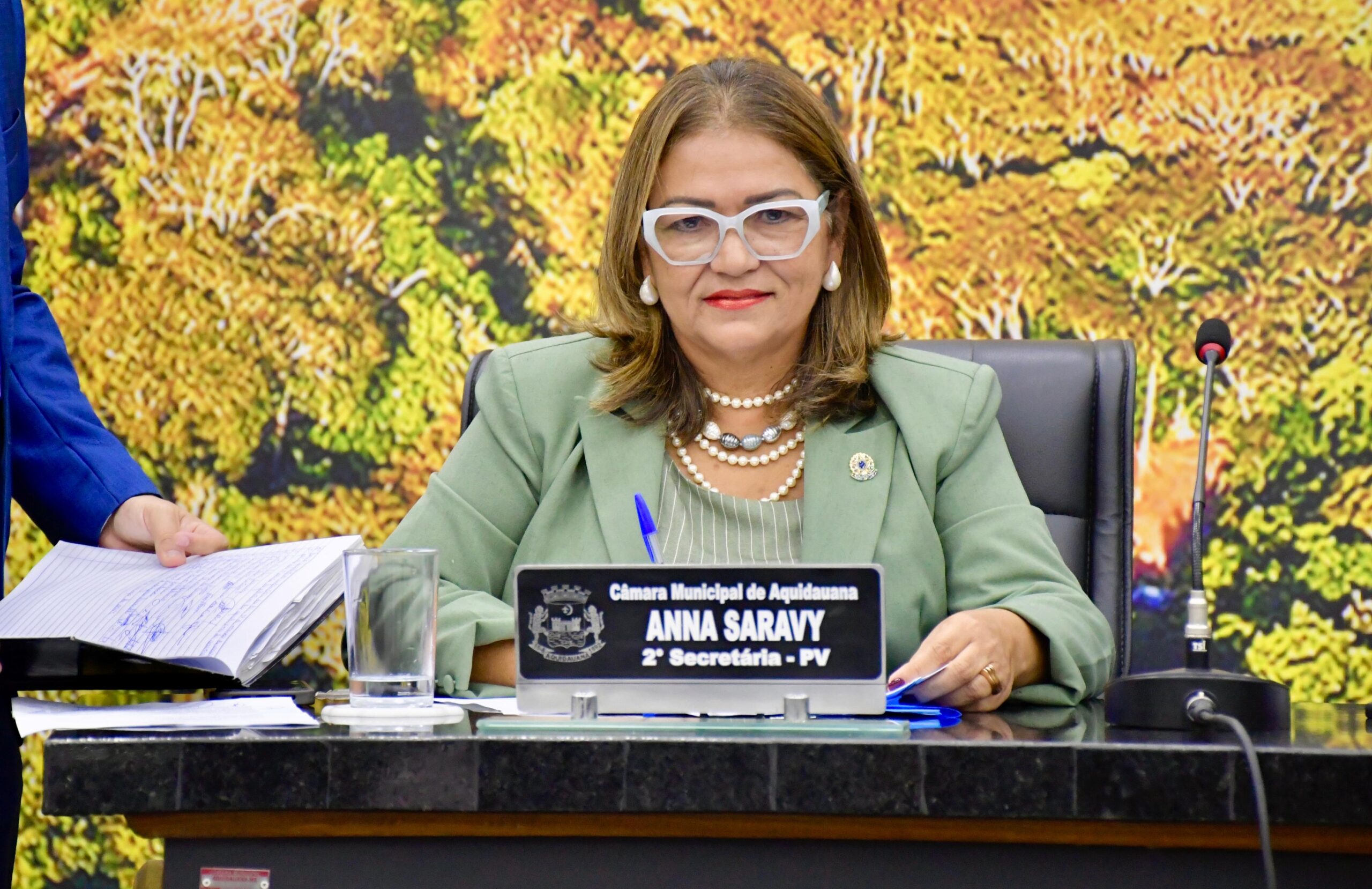 Em tribuna, vereadora Ana Saravy reivindica melhorias no trânsito e asfalto