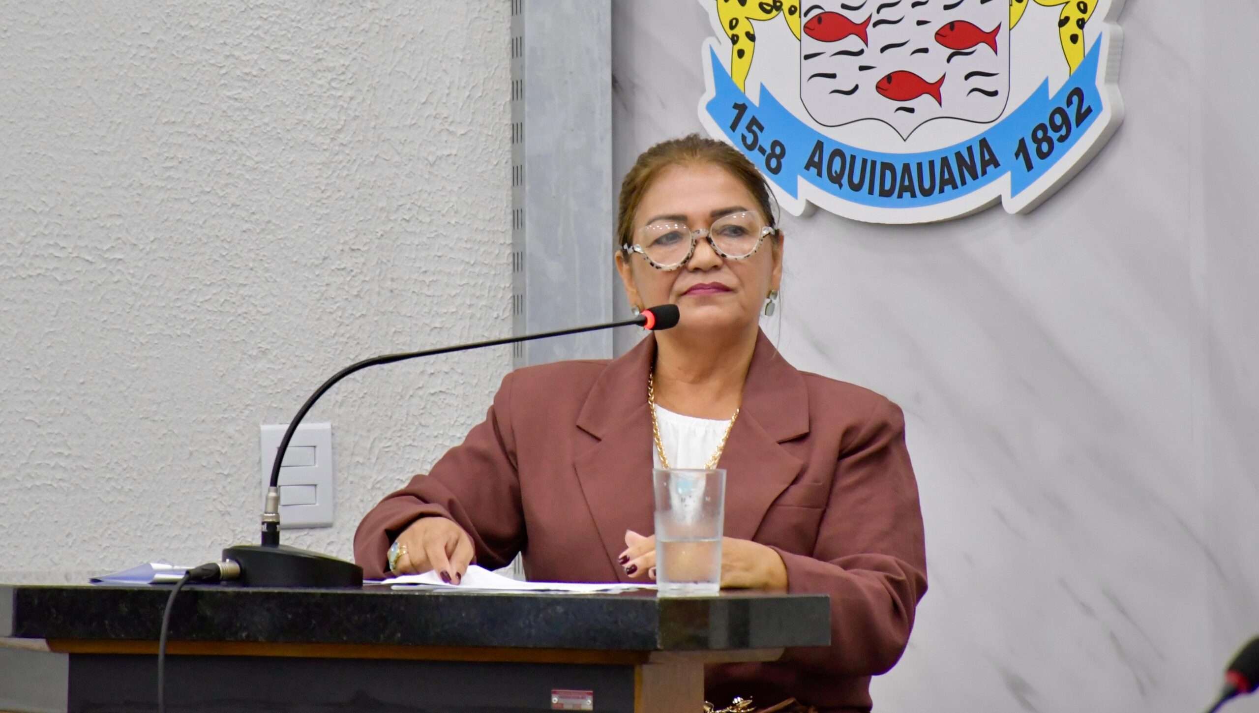 Vereadora Ana solicita inclusão de medicamento em lista da rede municipal
