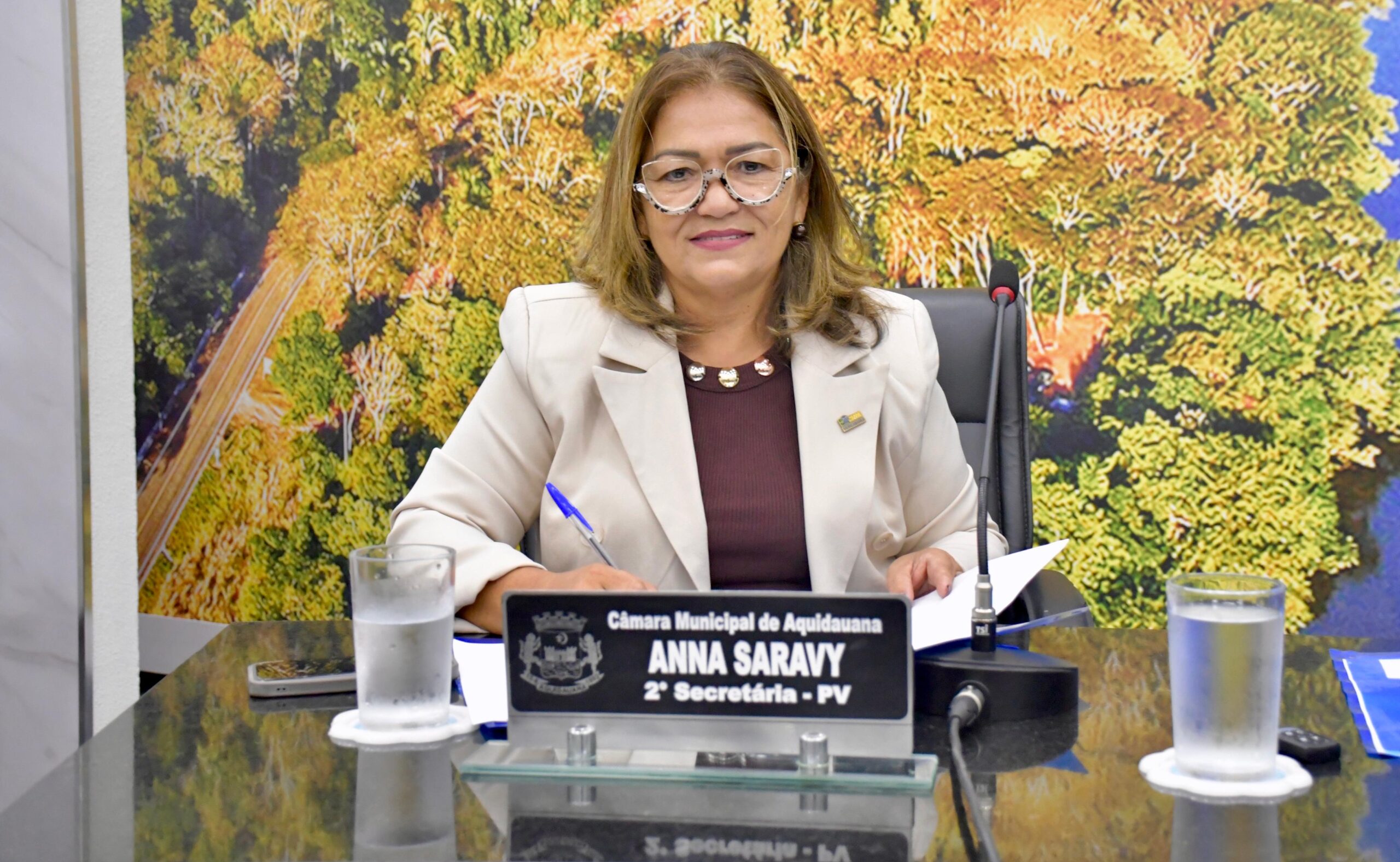 Ana Saravy propõe abertura das recepções nas ESFs  de Aquidauana