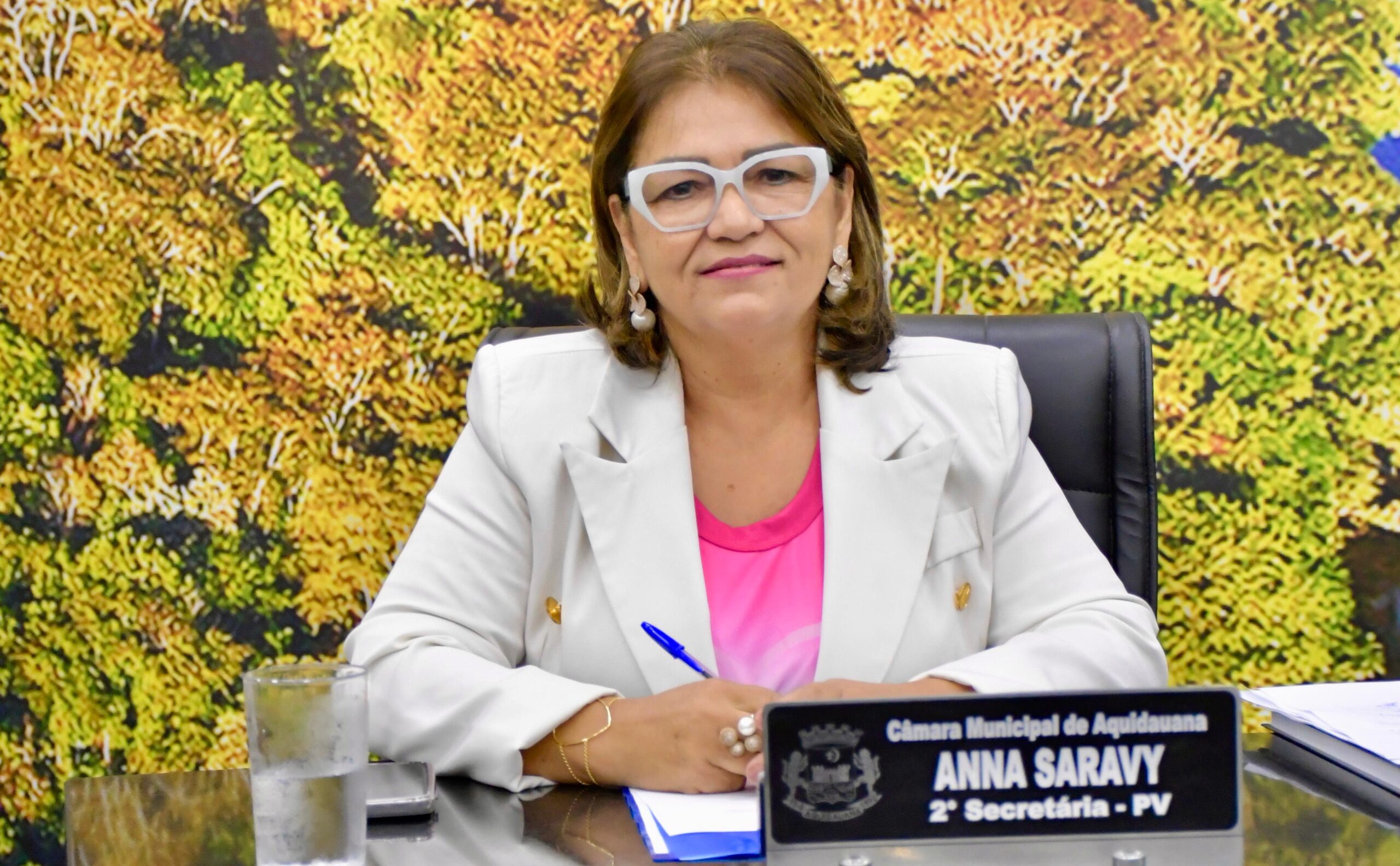 Ana Saravy solicita inclusão de pomada dermatológica na rede municipal de saúde