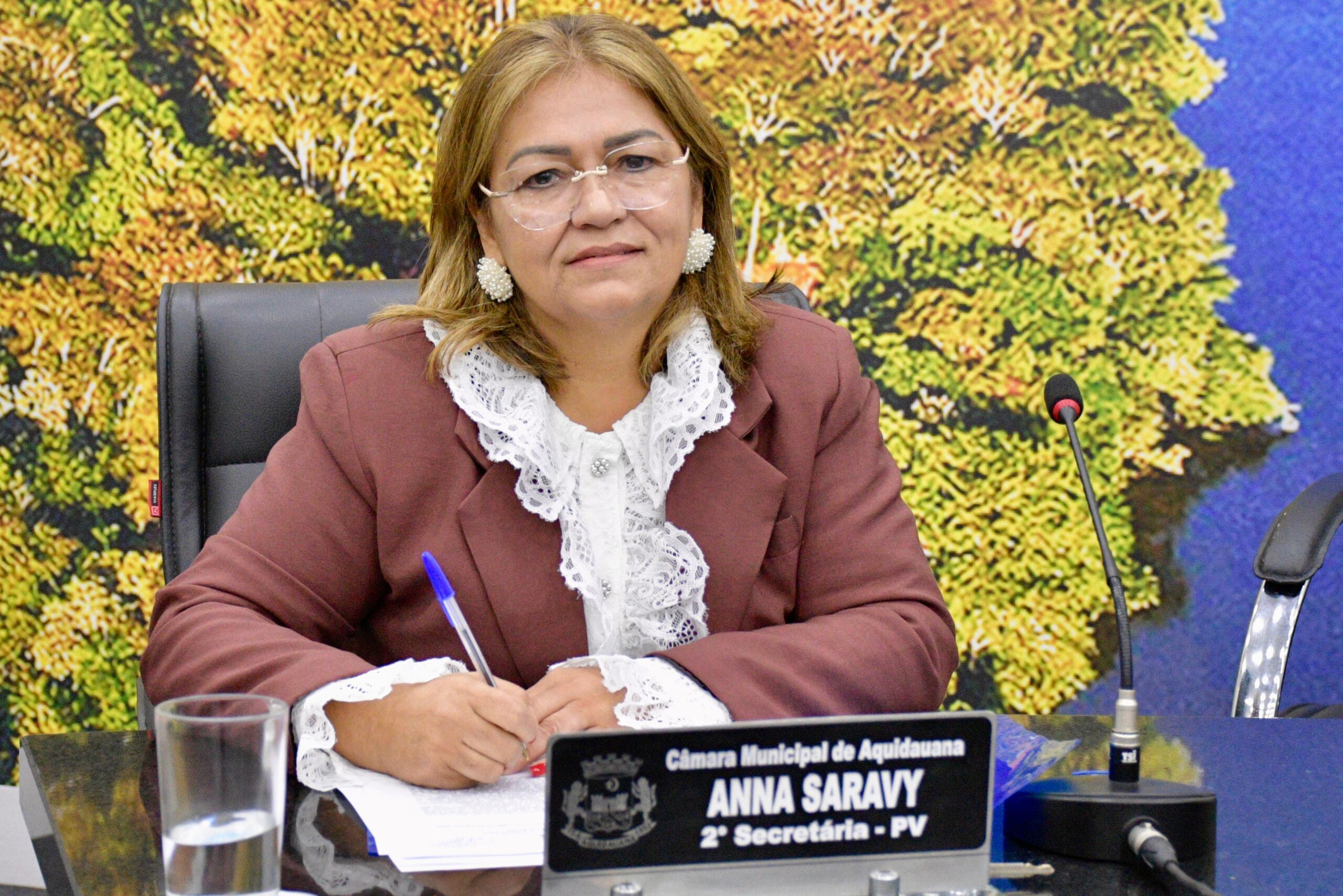 Ana Saravy cobra fiscalização rigorosa sobre irregularidades em carga e descarga no Centro