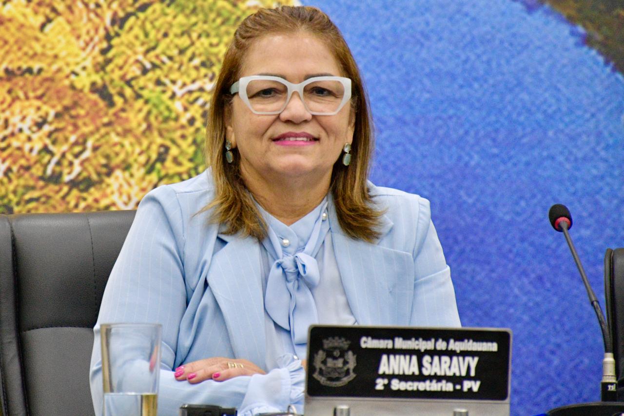 Ana Saravy solicita melhorias viárias, lixeiras e reforço na iluminação da Colônia Buriti