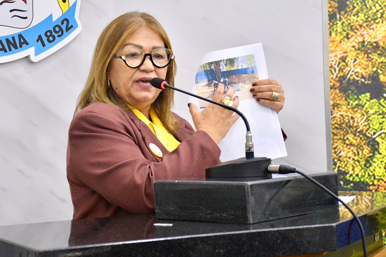 Ana Saravy propõe instalação de placas de alerta em pontos turísticos