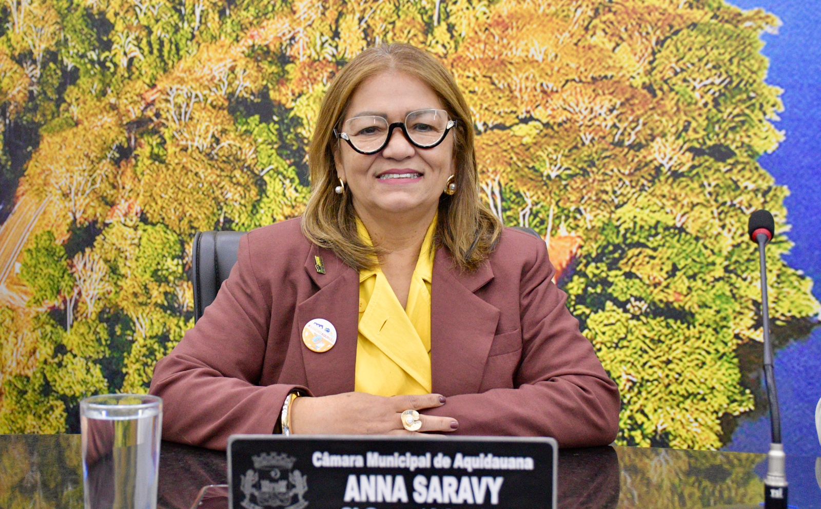 Ana Saravy solicita reformas e melhorias em unidades de saúde