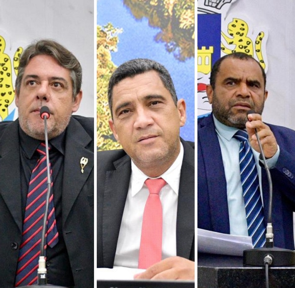 Vereadores buscam apoio federal para reforçar saúde e infraestrutura